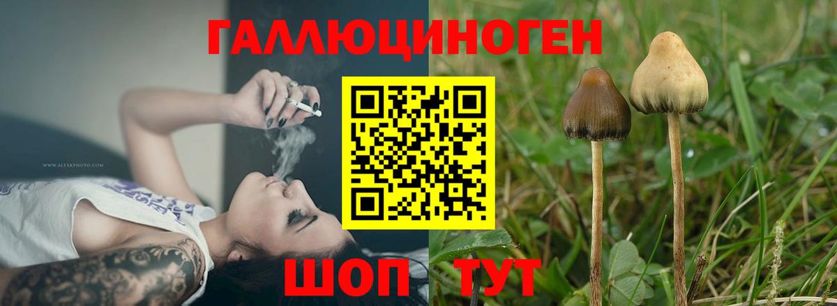 Галлюциногенные грибы Magic Shrooms  Вход с VPN  Галлюциногенные грибы мицелий  Вольск 